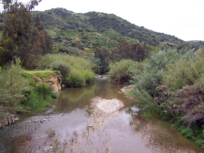 Alegaciones a la presa de Cerro Blanco
