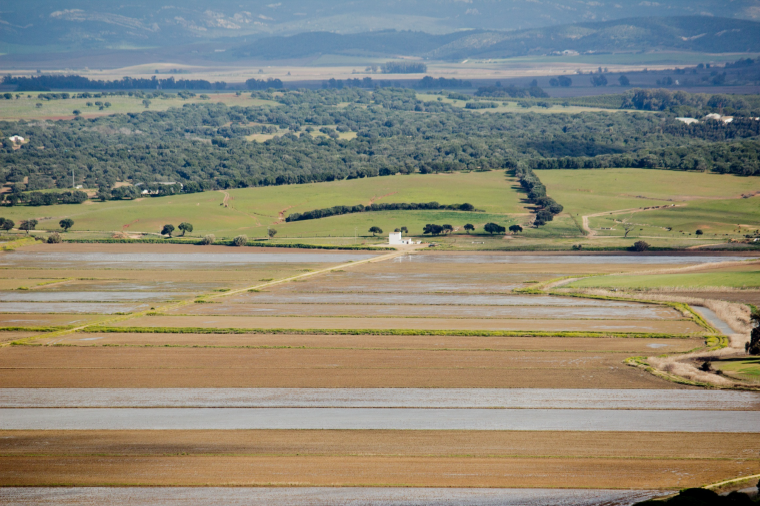 La recuperación de la Laguna de la Janda paralizada por la inacción del estado