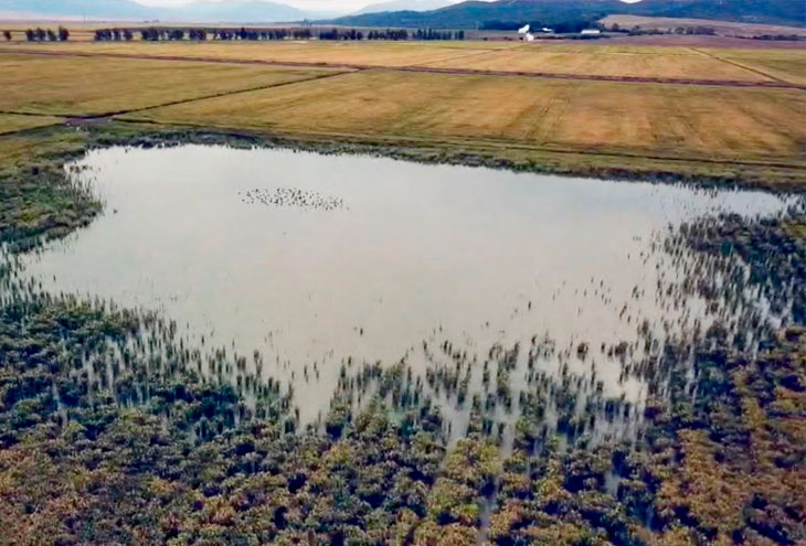 EL TRIBUNAL SUPREMO AVALA EL RECORTE DE AYUDAS DE LA PAC A LOS GRANDES TENEDORES DE SUELO AGRICOLA